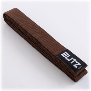 Karate Brown Belt Grading